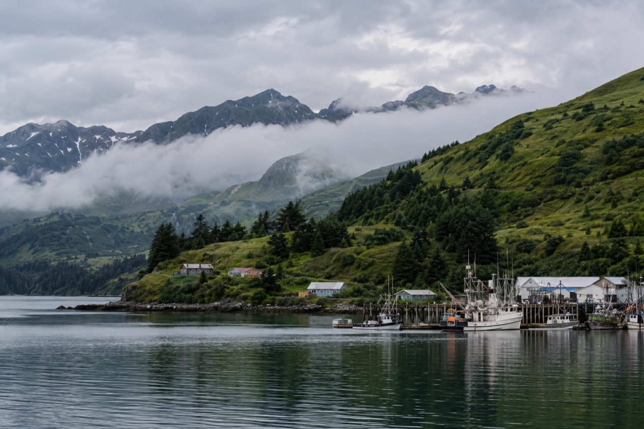 The harbor at Kodiak