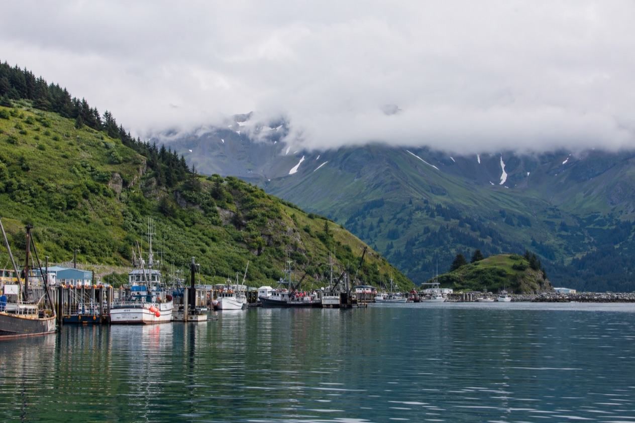 The harbor at Kodiak
