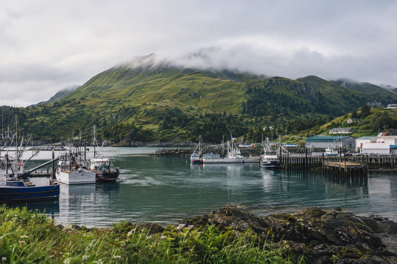 The harbor at Kodiak