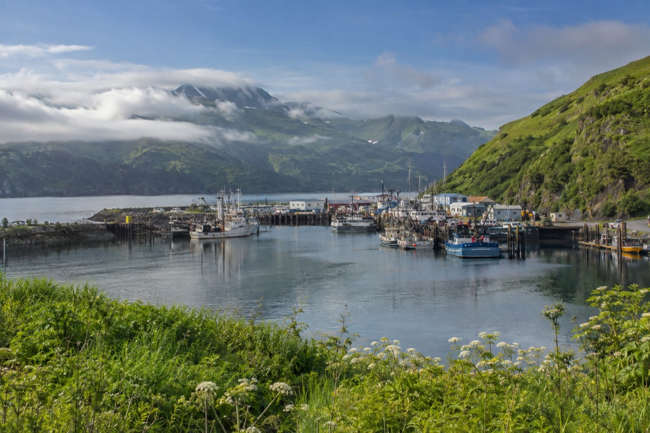 The harbor at Kodiak in summer