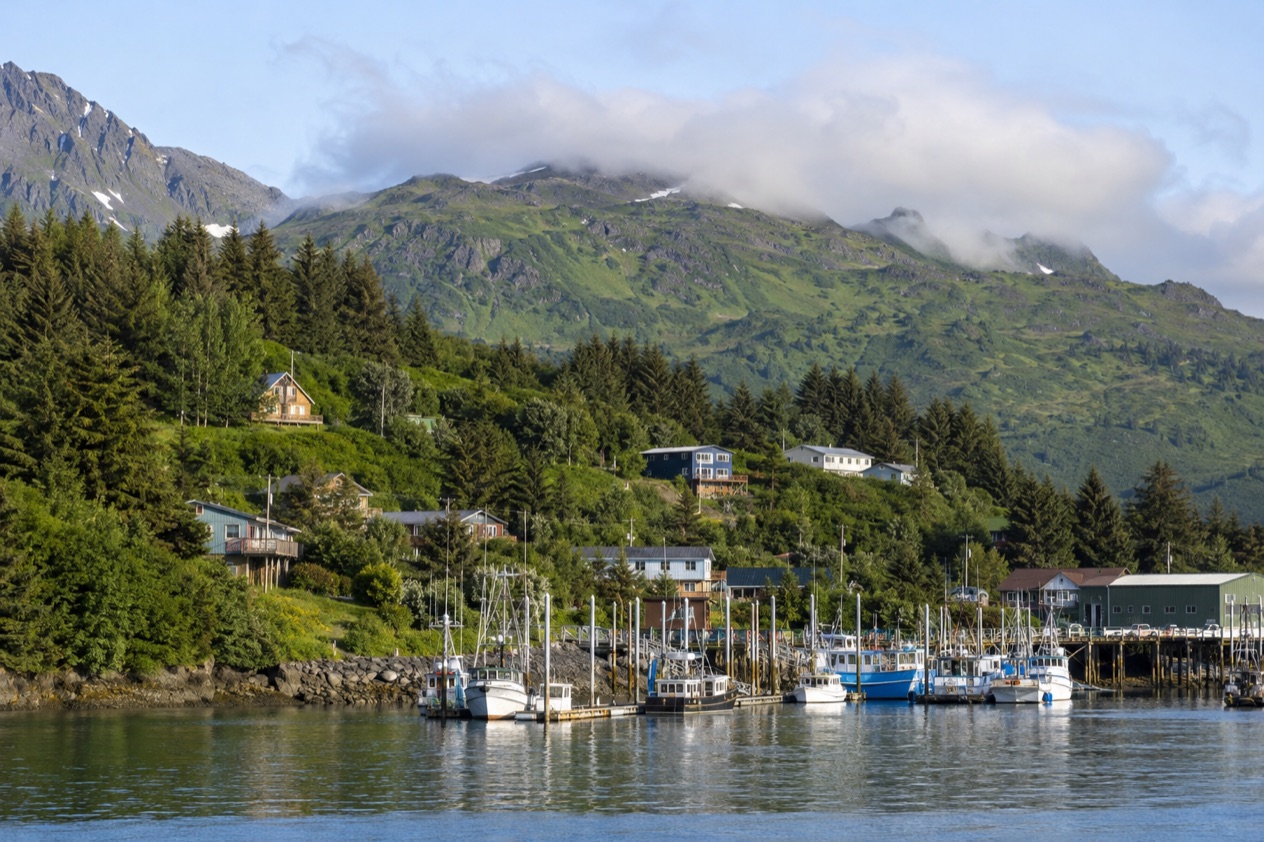 The harbor at Kodiak in summer
