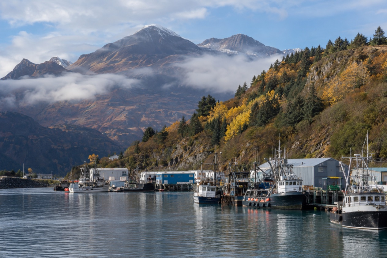 The harbor at Kodiak in fall
