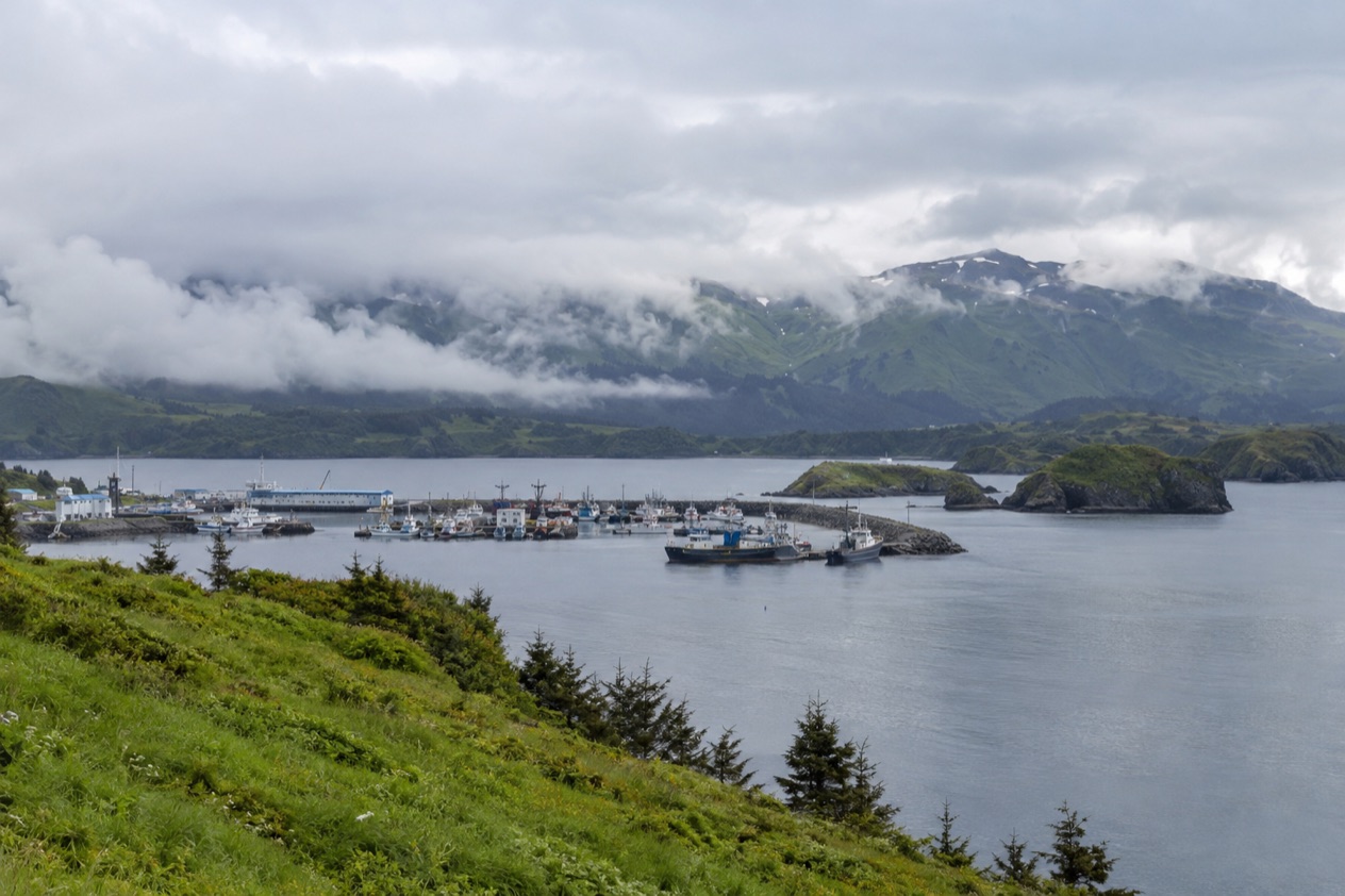 The harbor at Kodiak