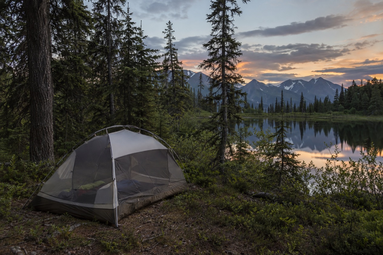 A tent in the forest