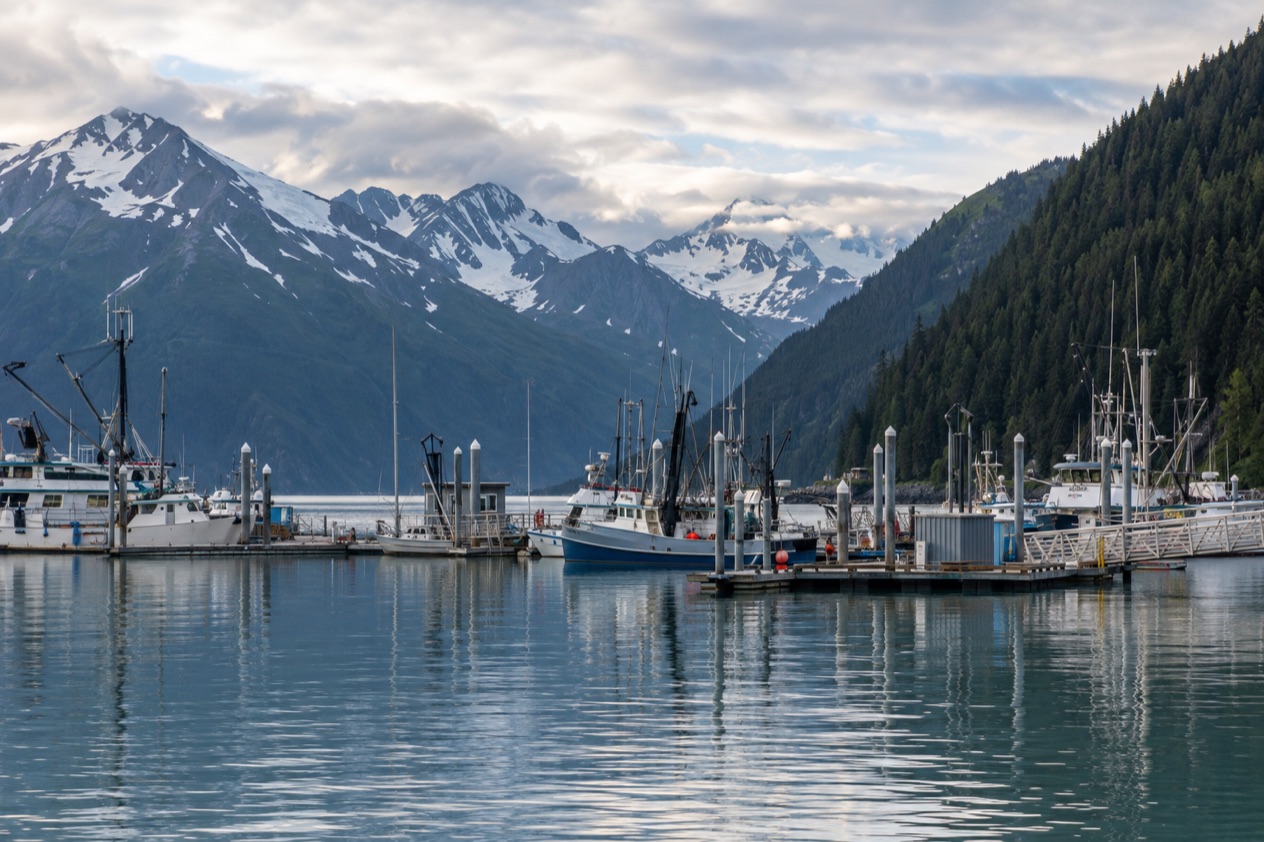 The harbor at Seward