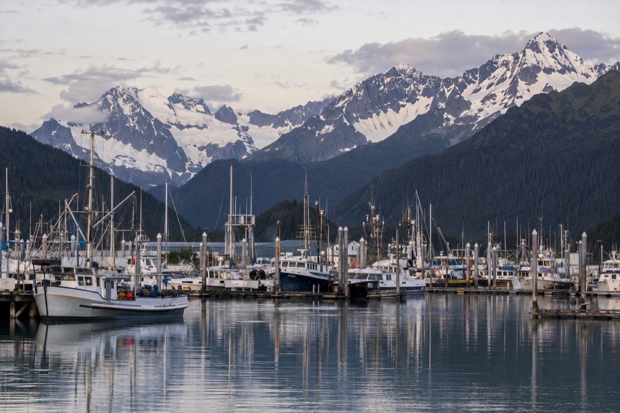 The harbor at Seward