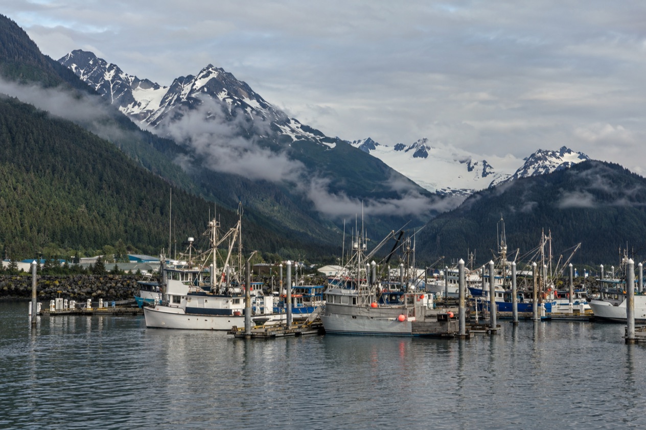 The harbor at Seward