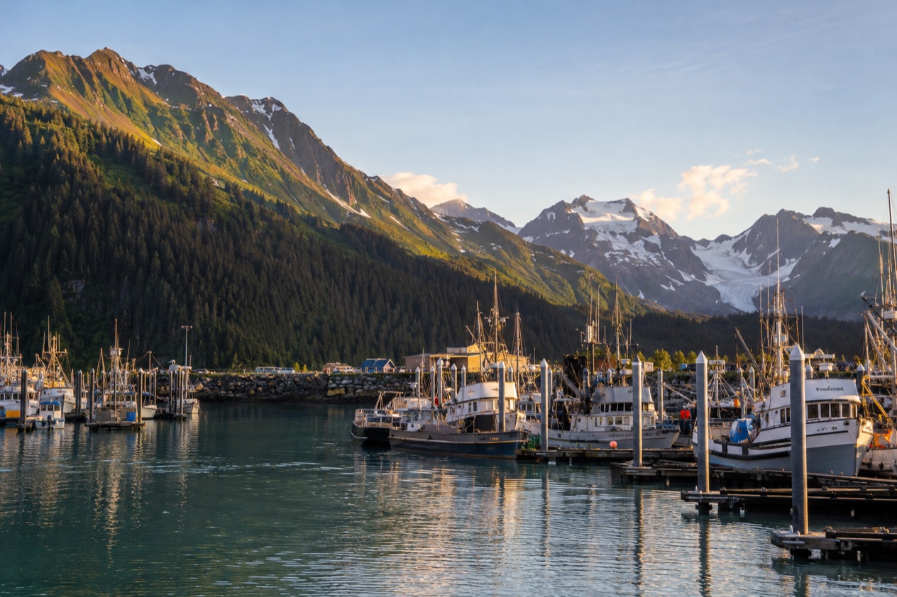 The harbor at Seward in late summer