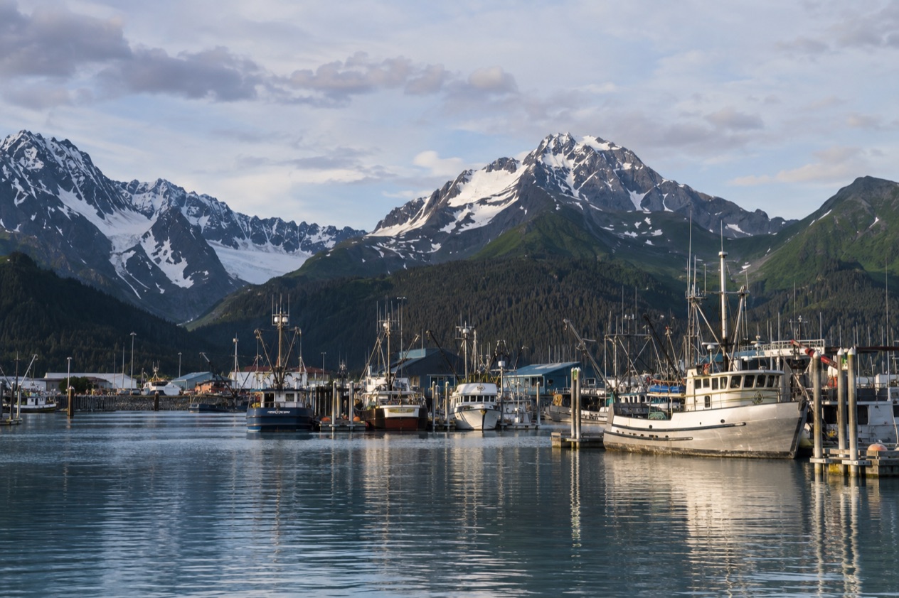 The harbor at Seward
