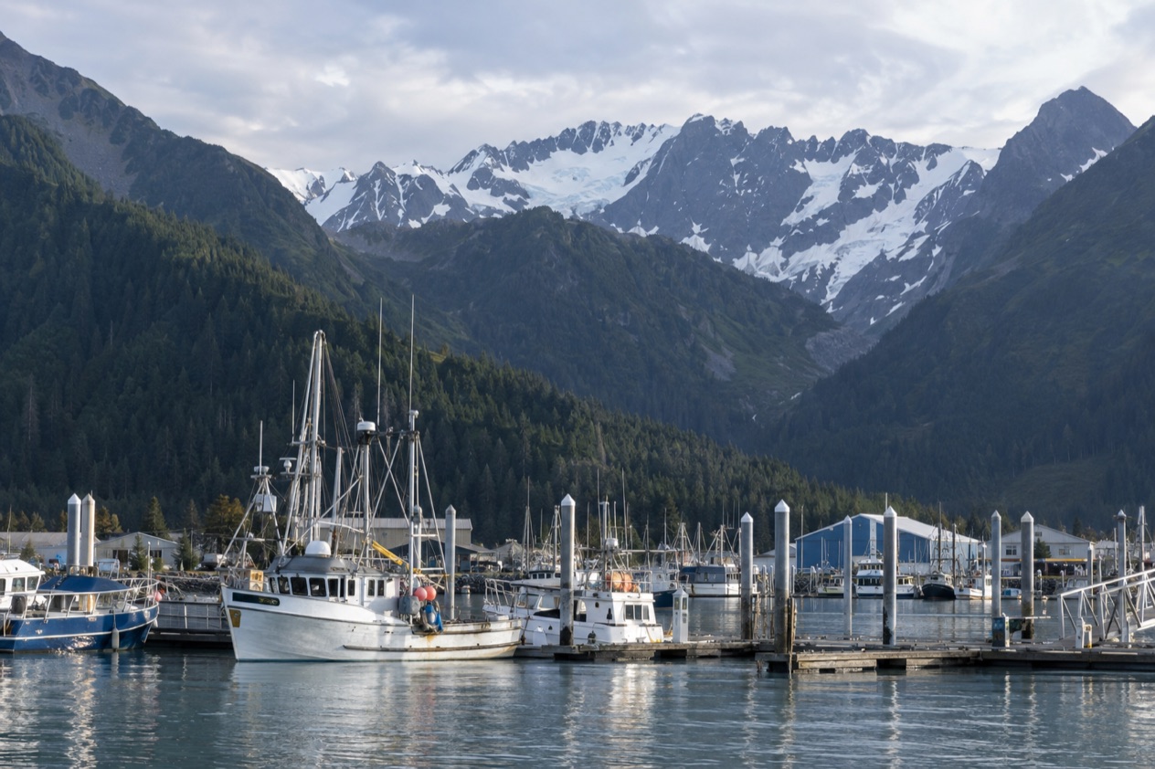 The harbor at Seward