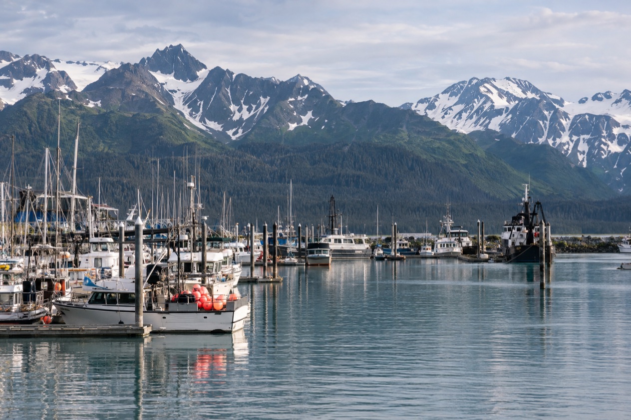 The harbor at Seward