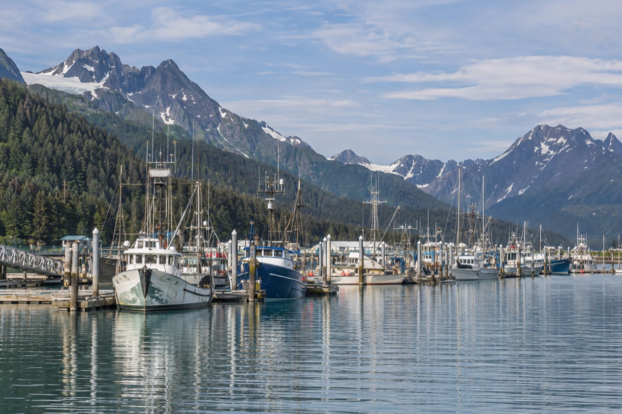 The harbor at Seward in summer