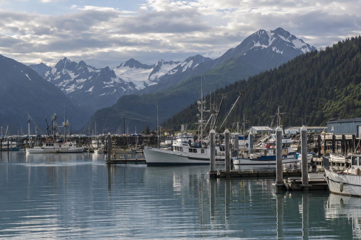 The harbor at Seward
