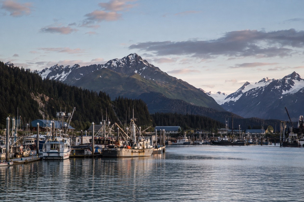 The harbor at Seward