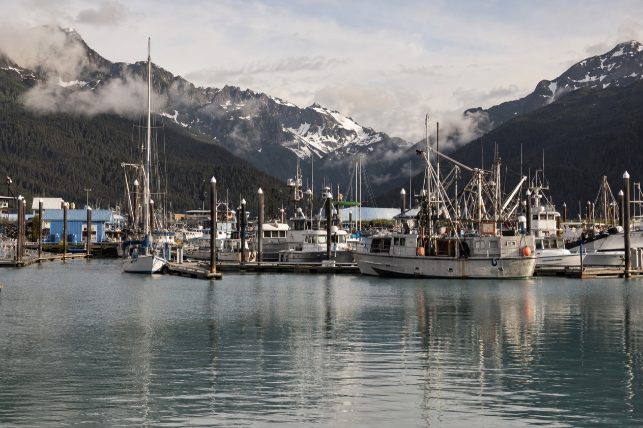 The harbor at Seward