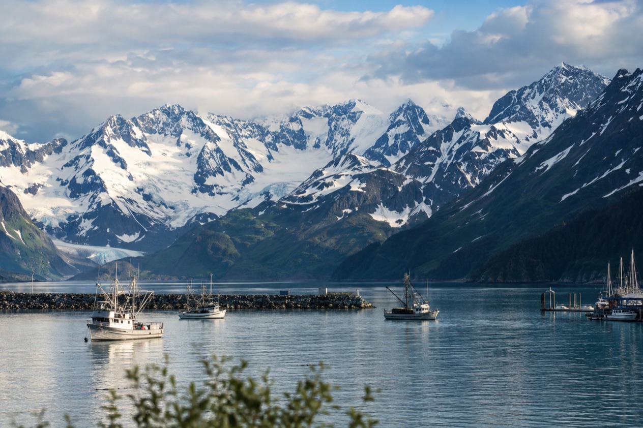 The harbor at Valdez