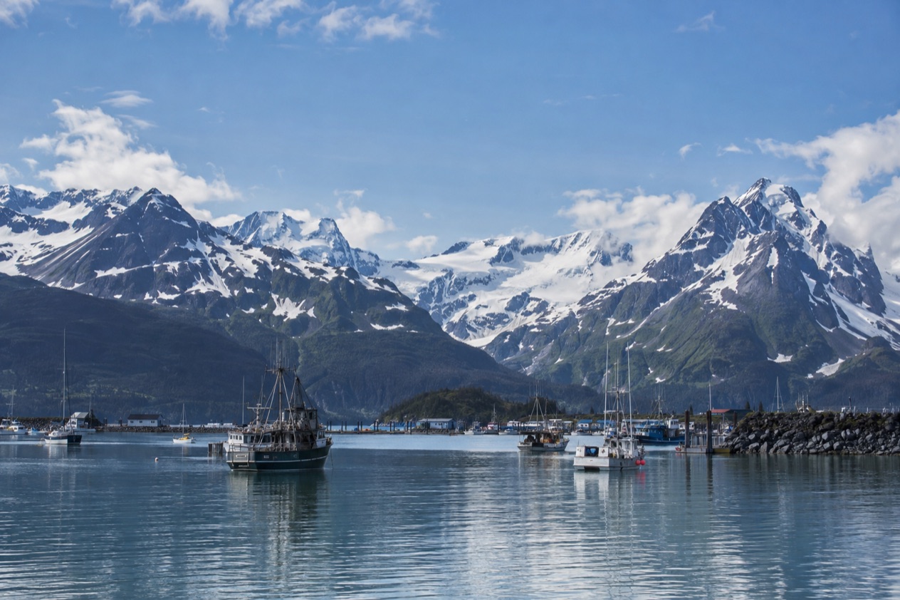 The harbor at Valdez