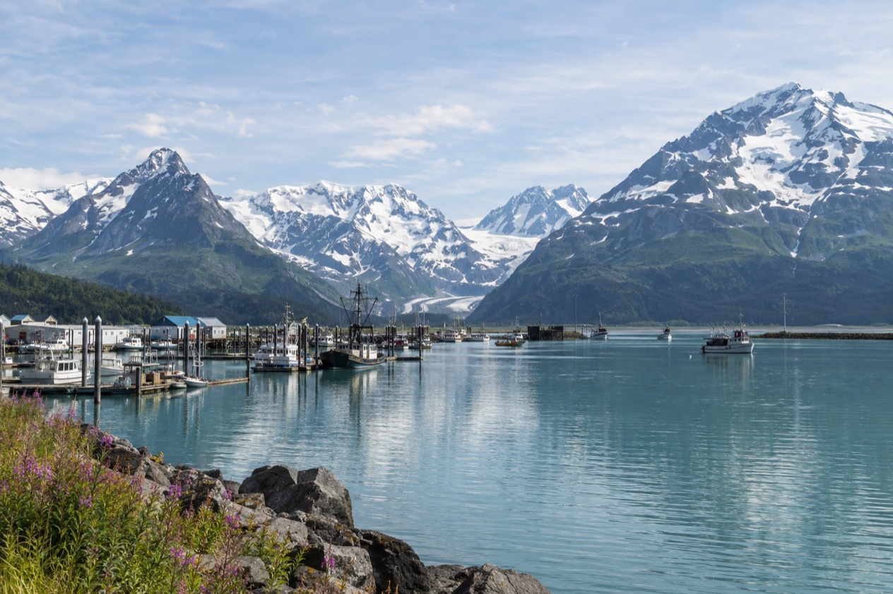 The harbor at Valdez in summer