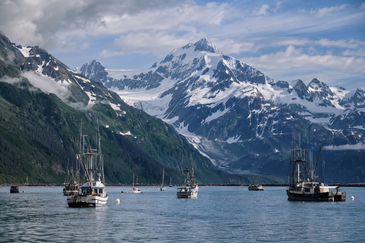 The harbor at Valdez