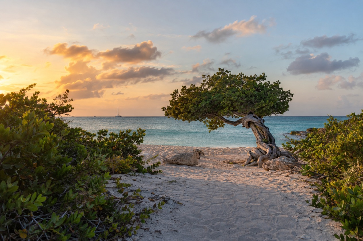 A path to the beach