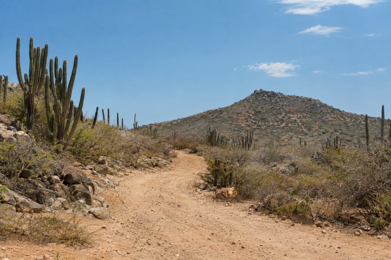 A road across the island