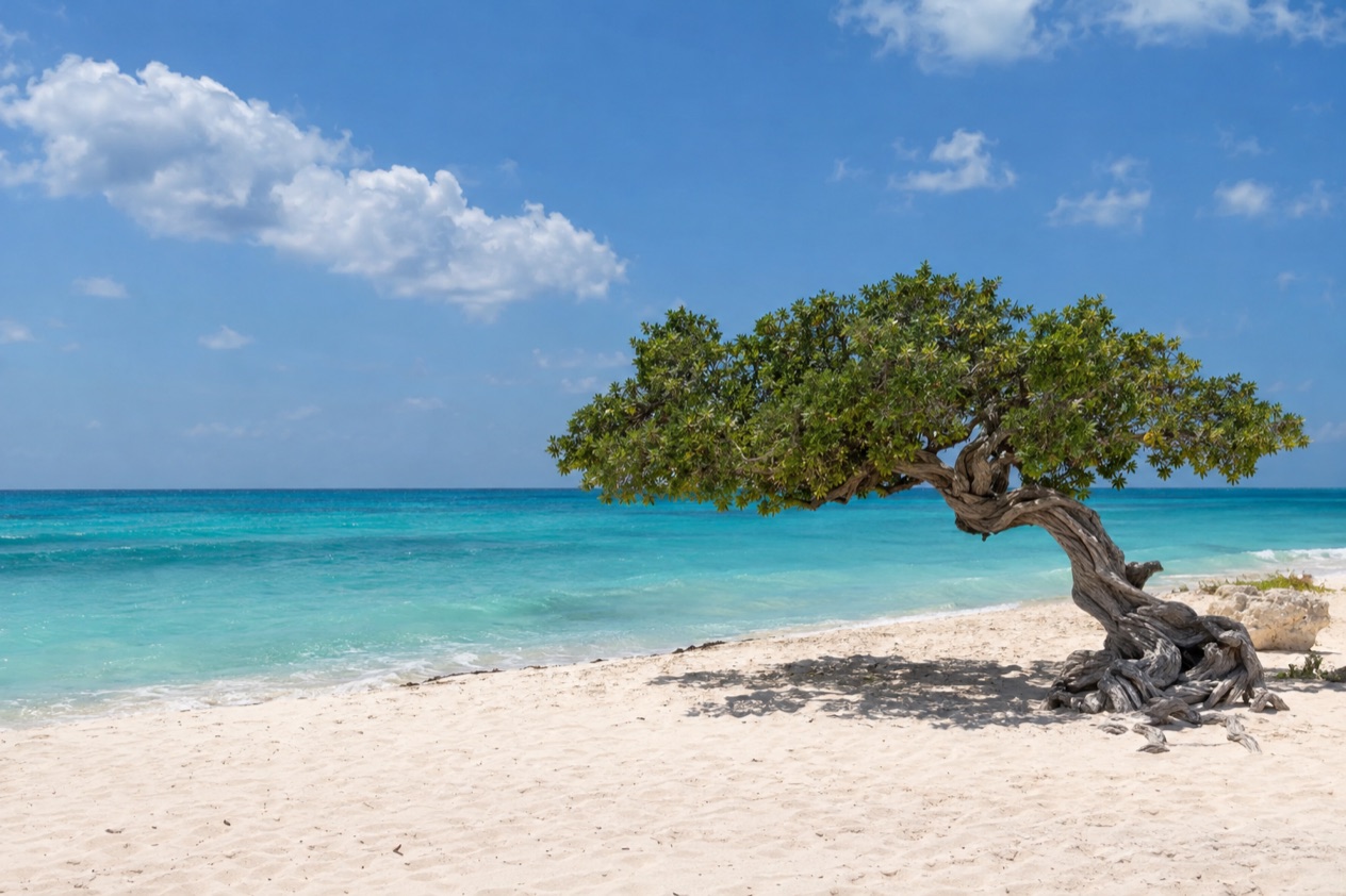 A bright day on an Aruban beach