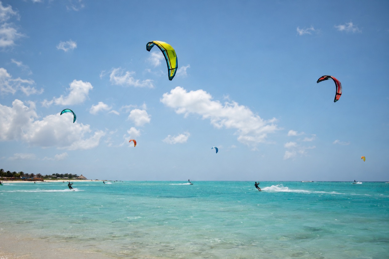 Kites over a windy bay