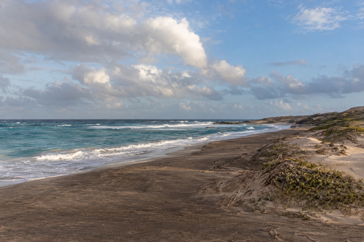 An empty wild beach
