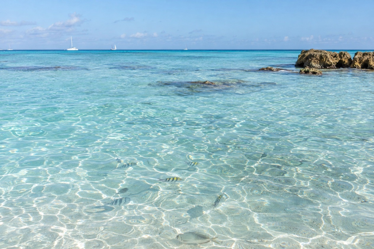 Clear water for snorkeling