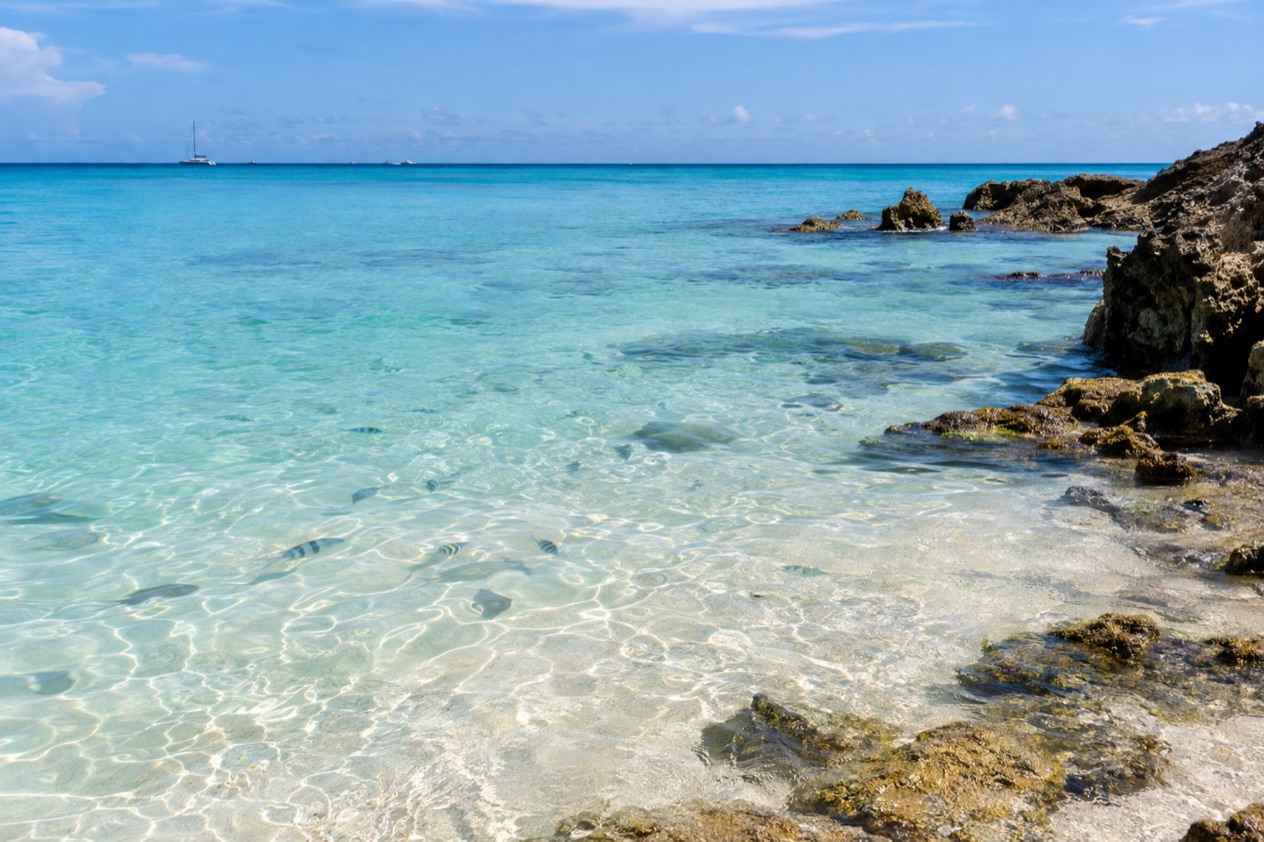 A clear shallow lagoon