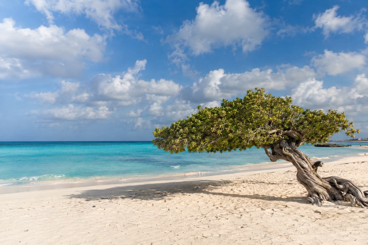 Trade-wind clouds over an Aruban beach