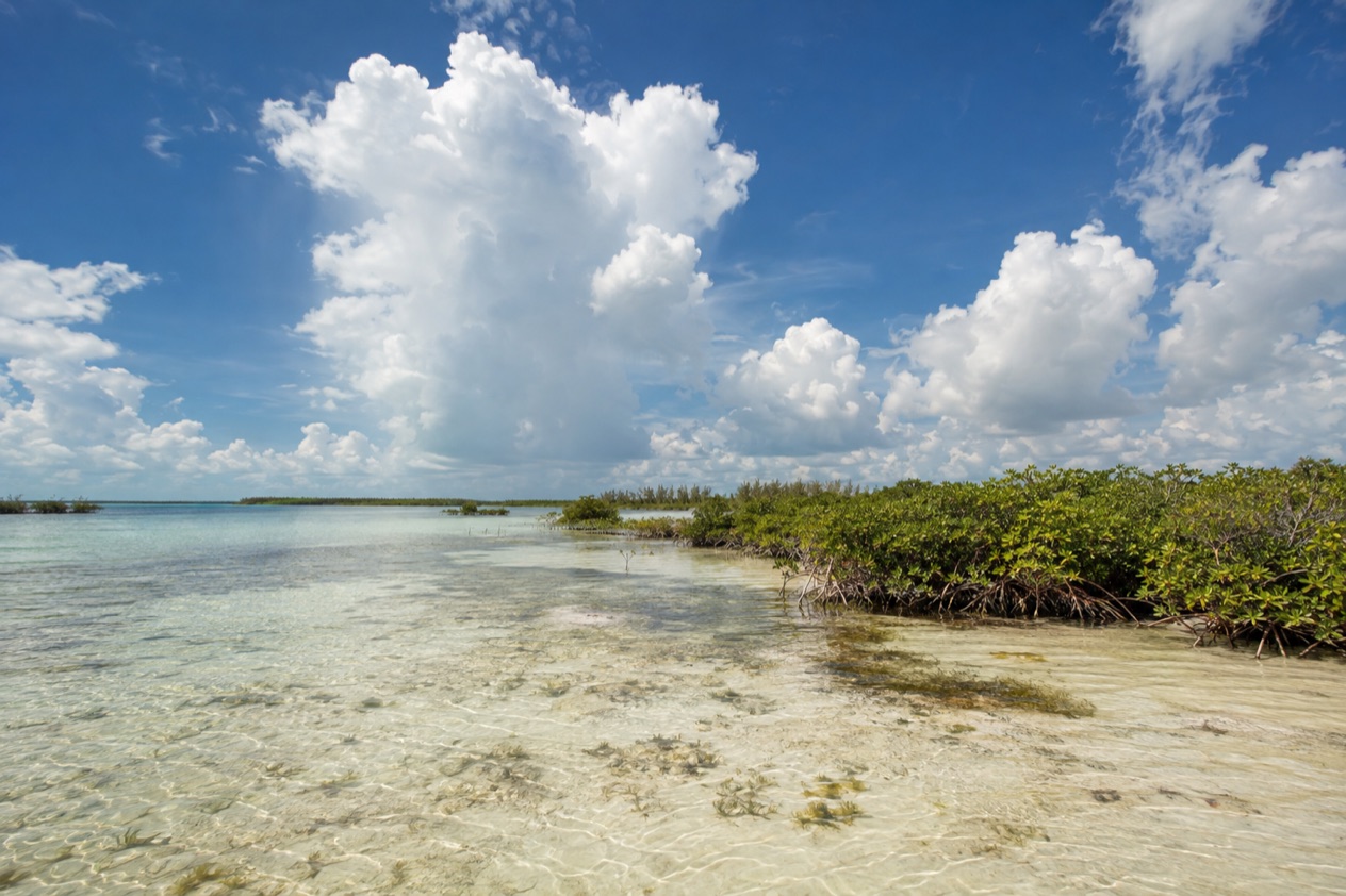 A flat coast on Andros in summer