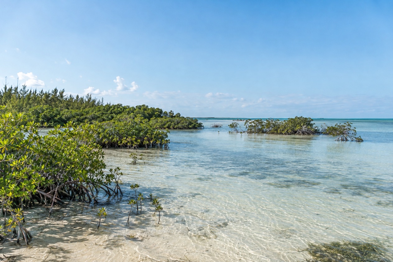 A flat coast on Andros in winter