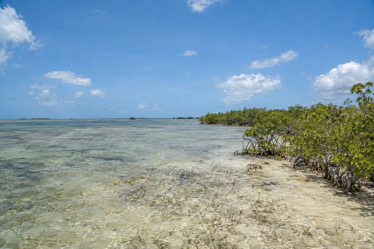A flat coast on Andros