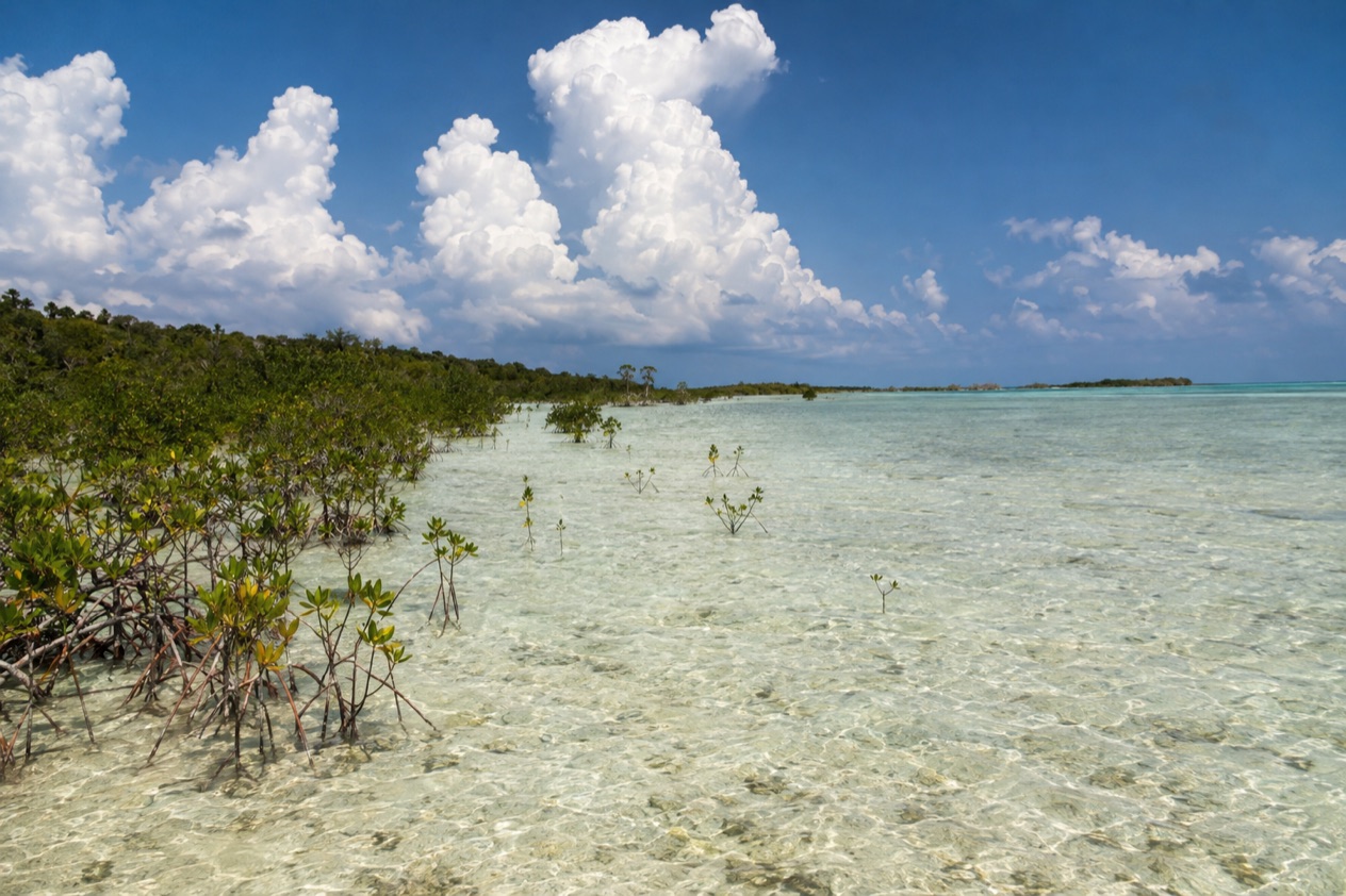 A flat coast on Andros in summer