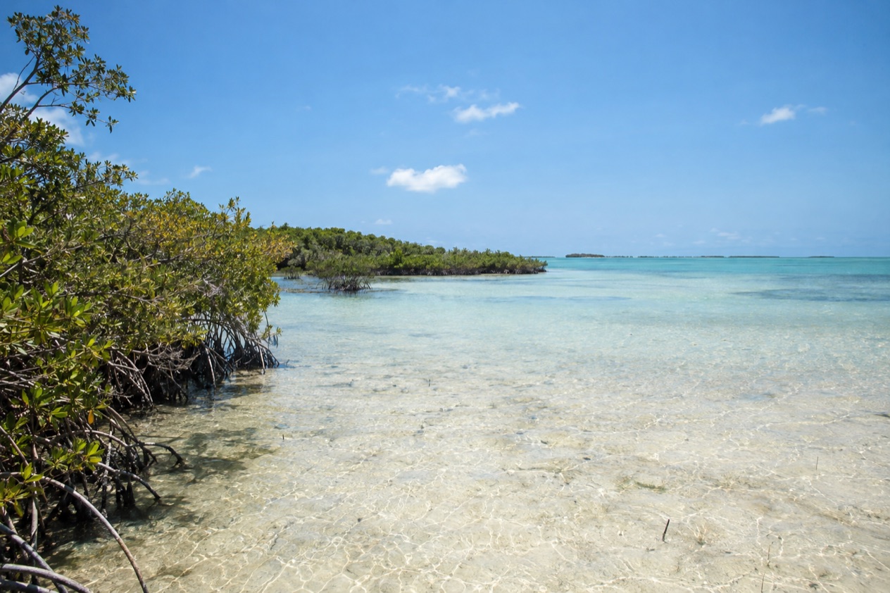 A flat coast on Andros