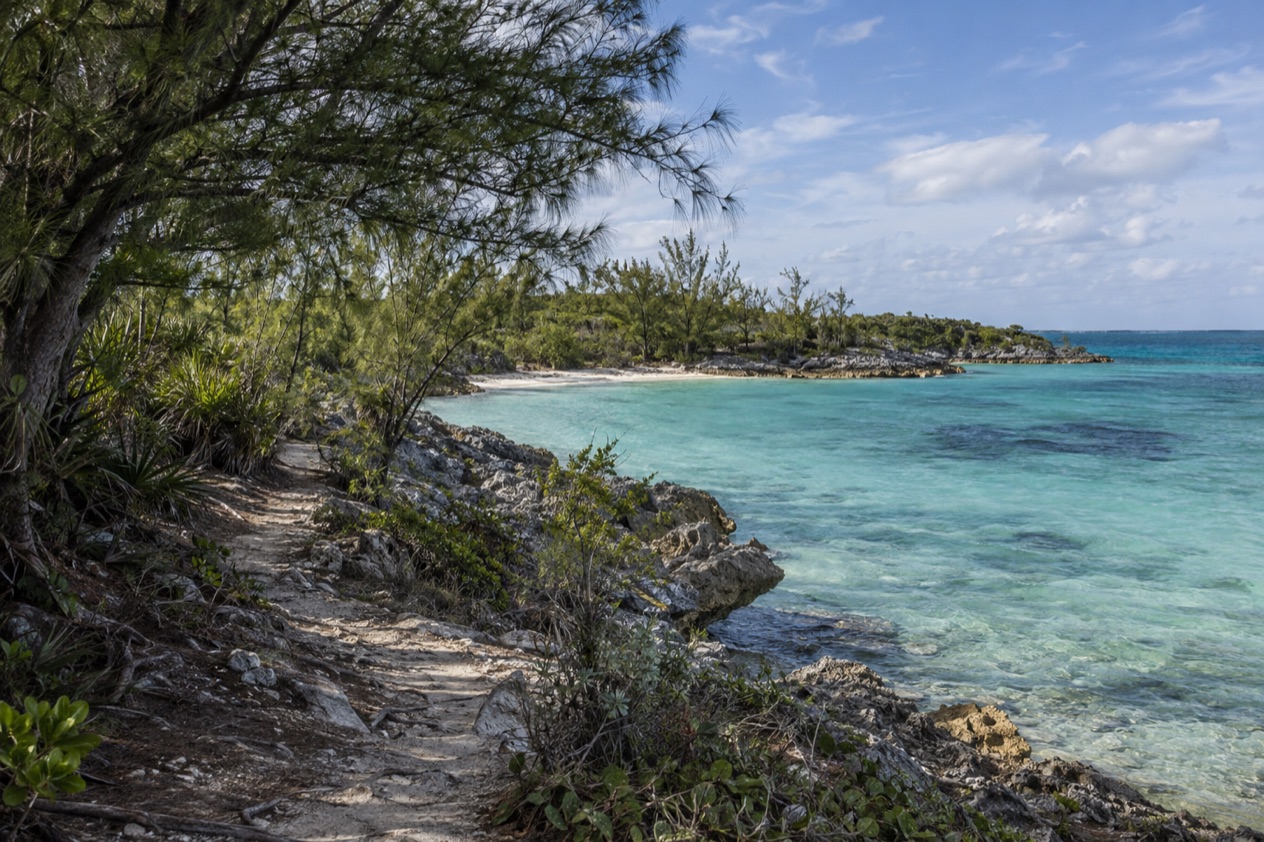 A protected park in the Bahamas