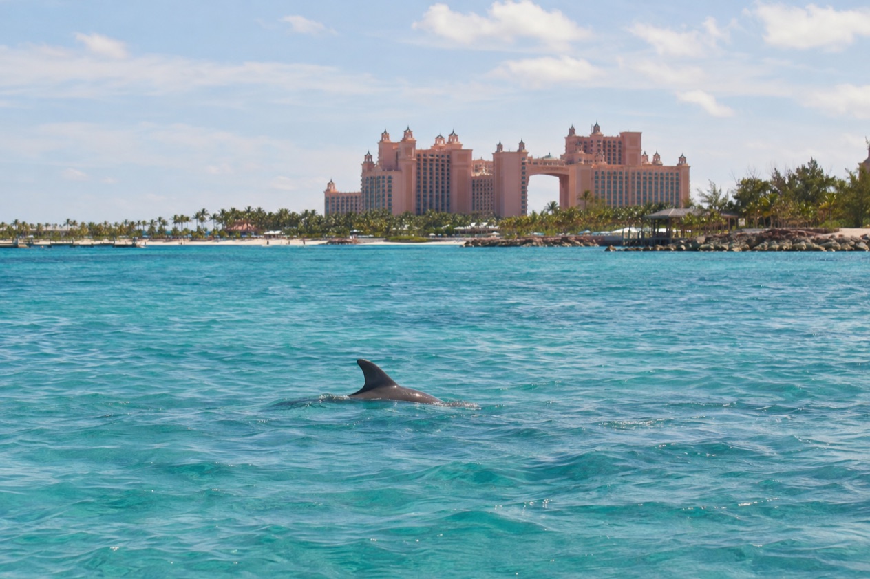 A marine lagoon at a resort