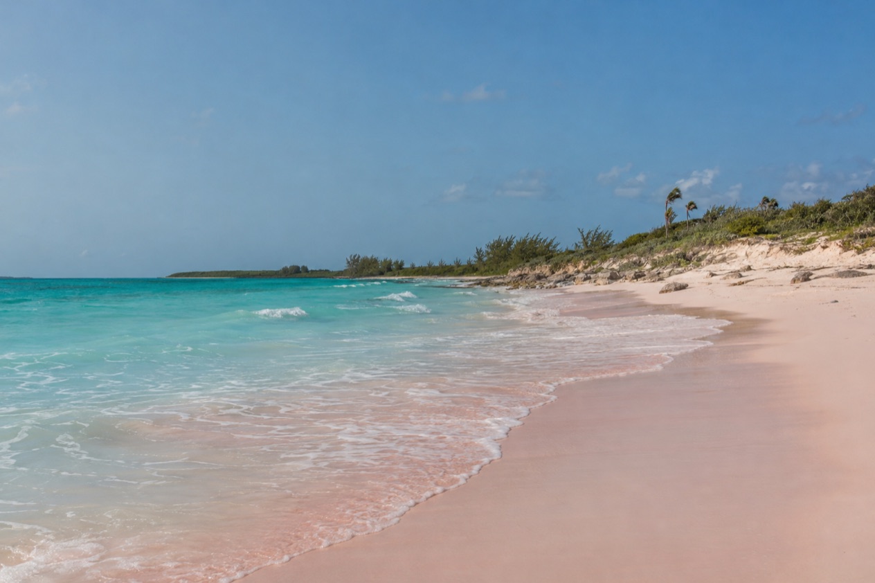 A beach on Eleuthera
