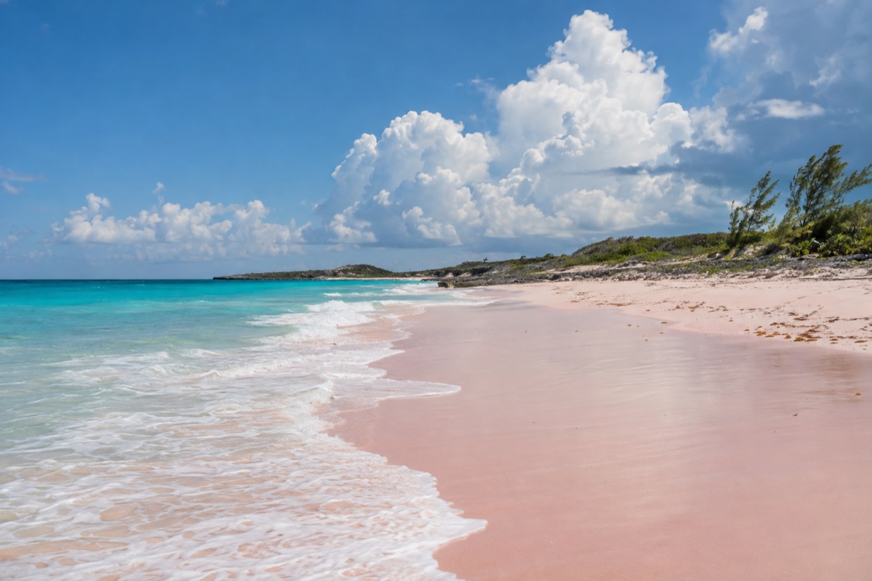 A beach on Eleuthera in summer