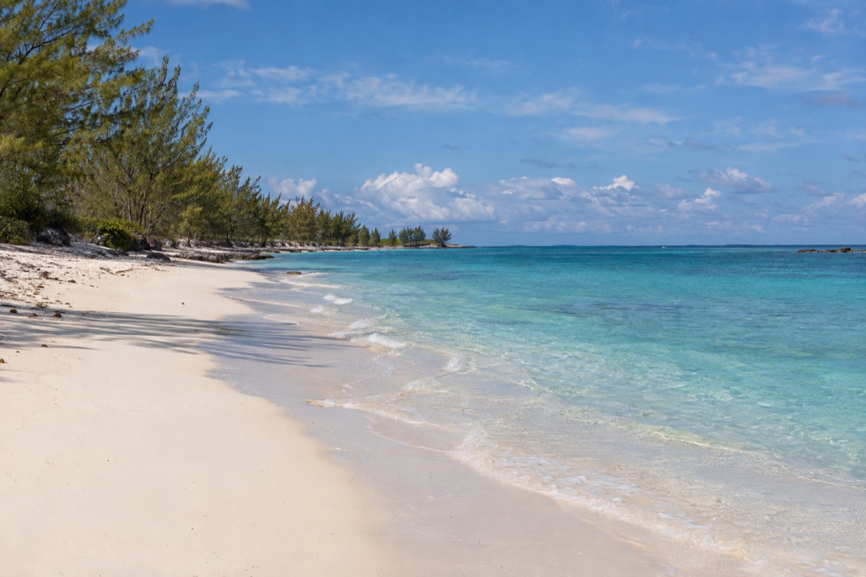 A beach on Grand Bahama