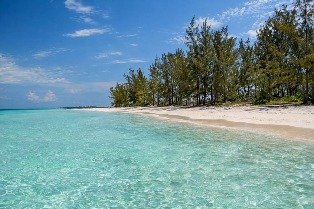 A beach on Grand Bahama