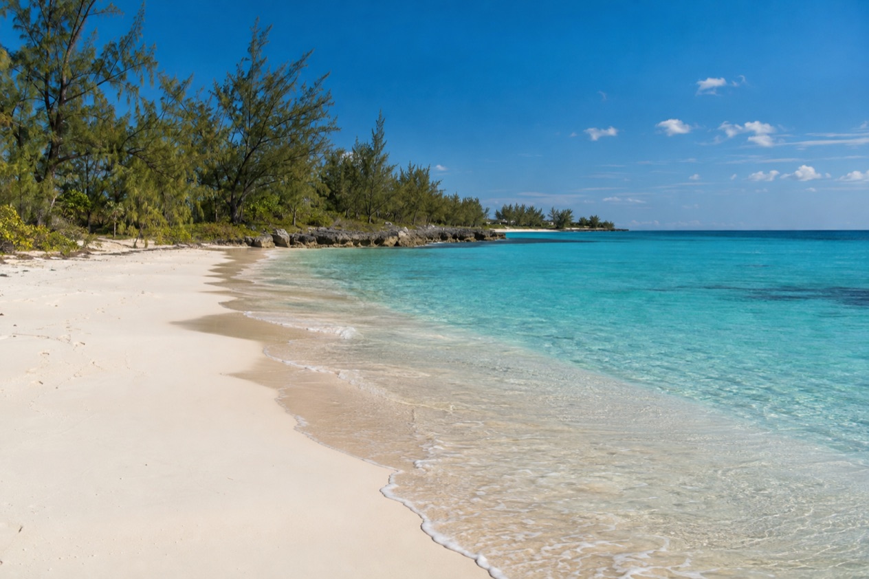 A beach on Grand Bahama