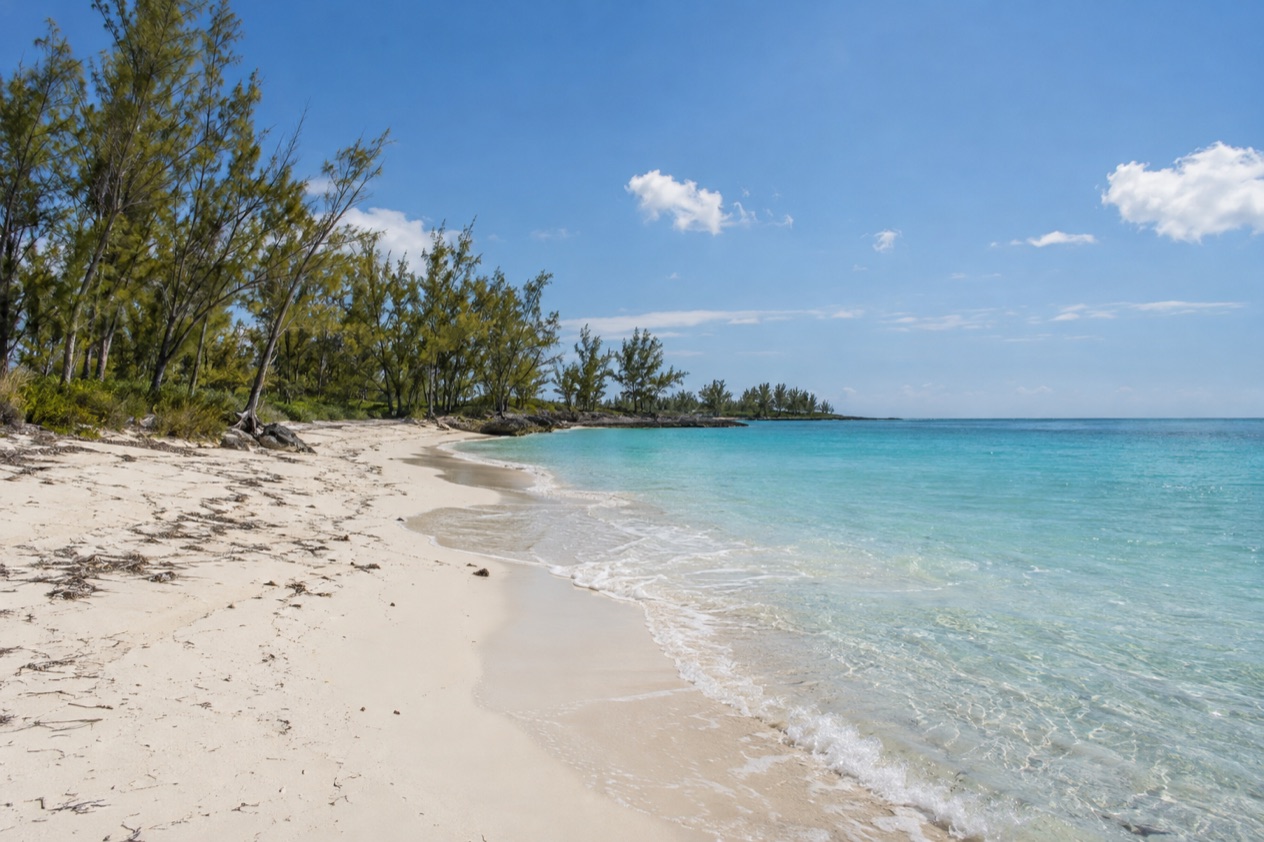 A beach on Grand Bahama in spring