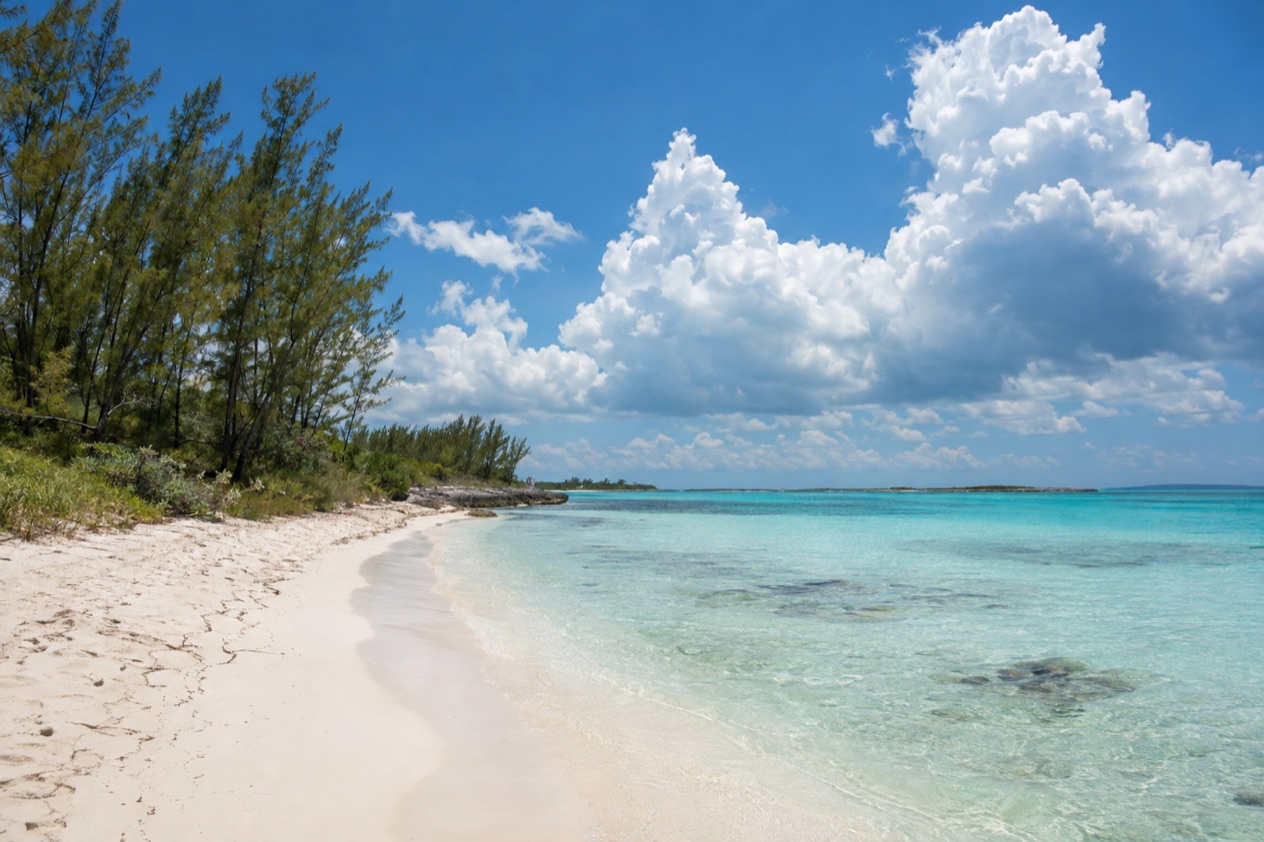 A beach on Grand Bahama in summer