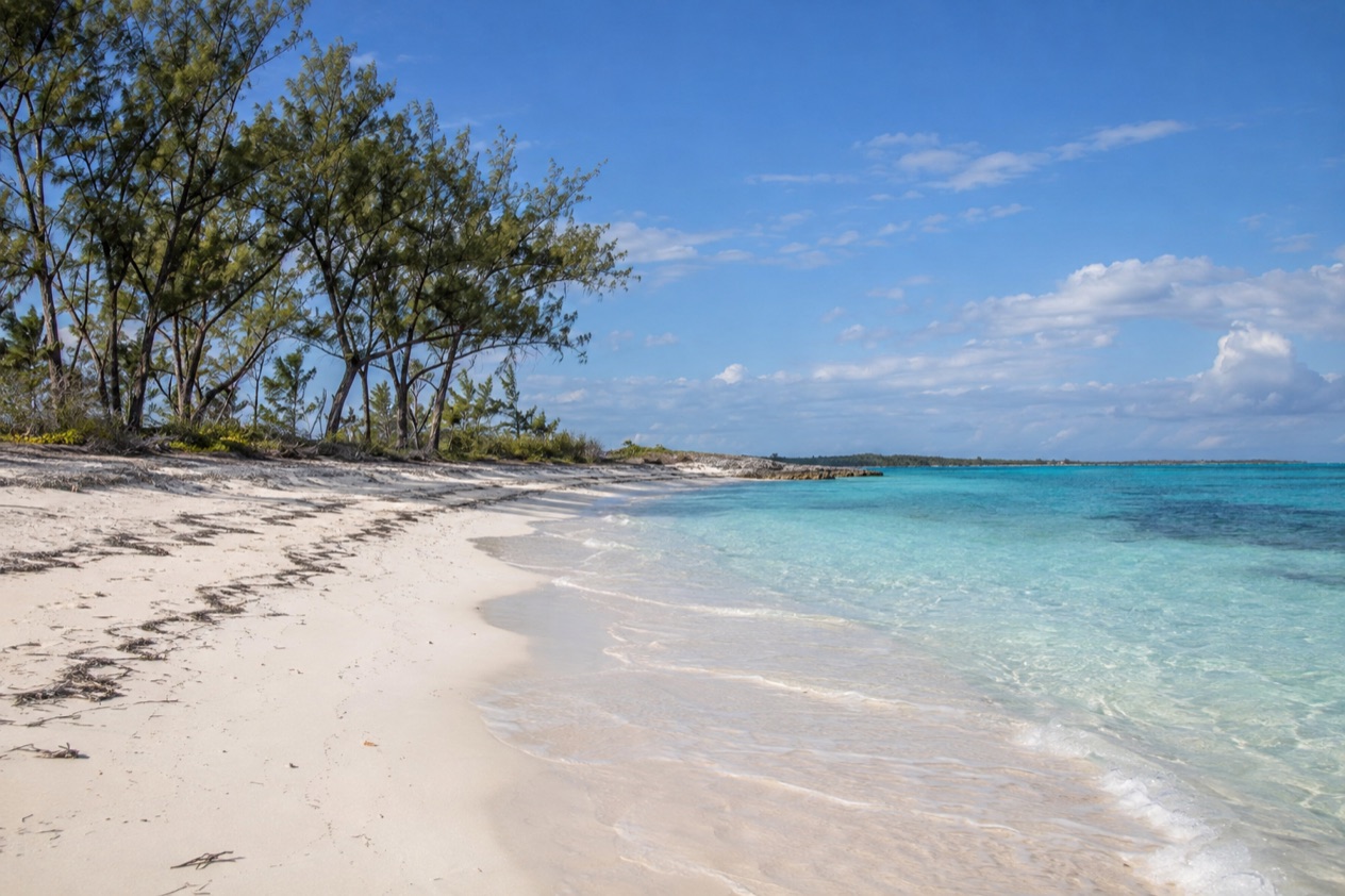 A beach on Grand Bahama