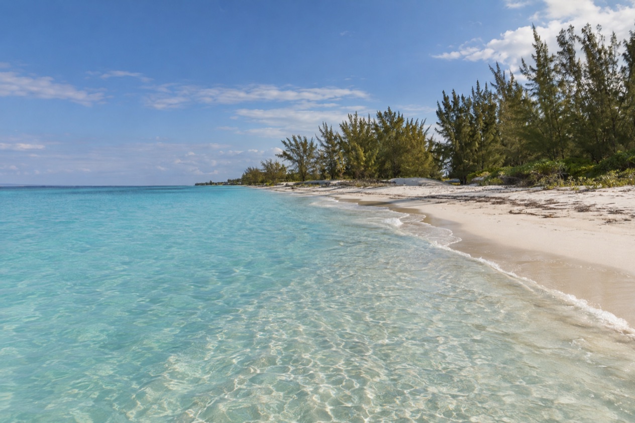 A beach on Grand Bahama