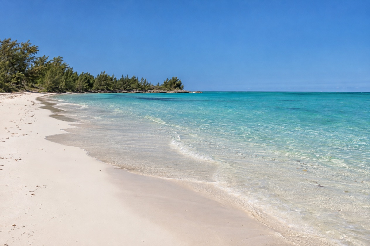 A beach on Grand Bahama in winter