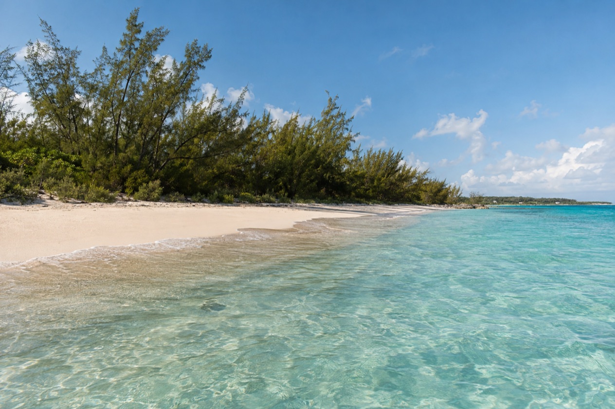 A beach on Grand Bahama