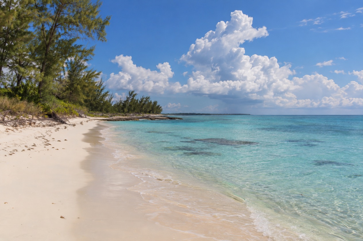 A beach on Grand Bahama in summer